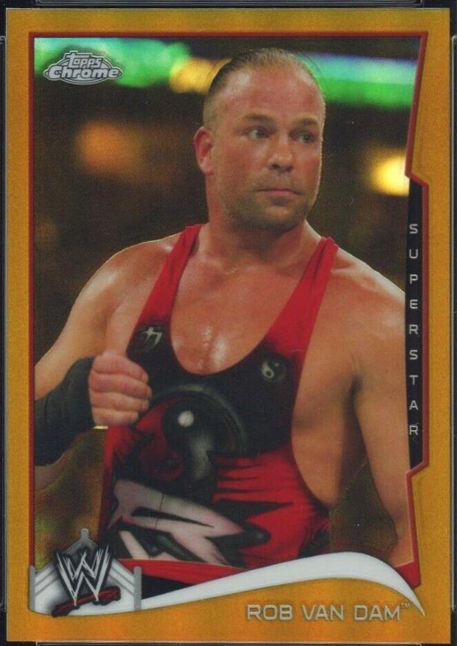 Rob Van Dam [Gold] #41