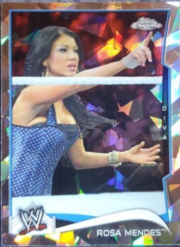 Rosa Mendes [Atomic] #85
