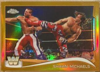 Shawn Michaels [Gold] #109