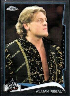 William Regal #95
