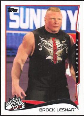 Brock Lesnar #8