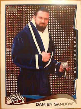 Damien Sandow #64