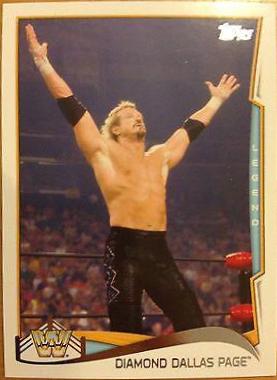 Diamond Dallas Page #99