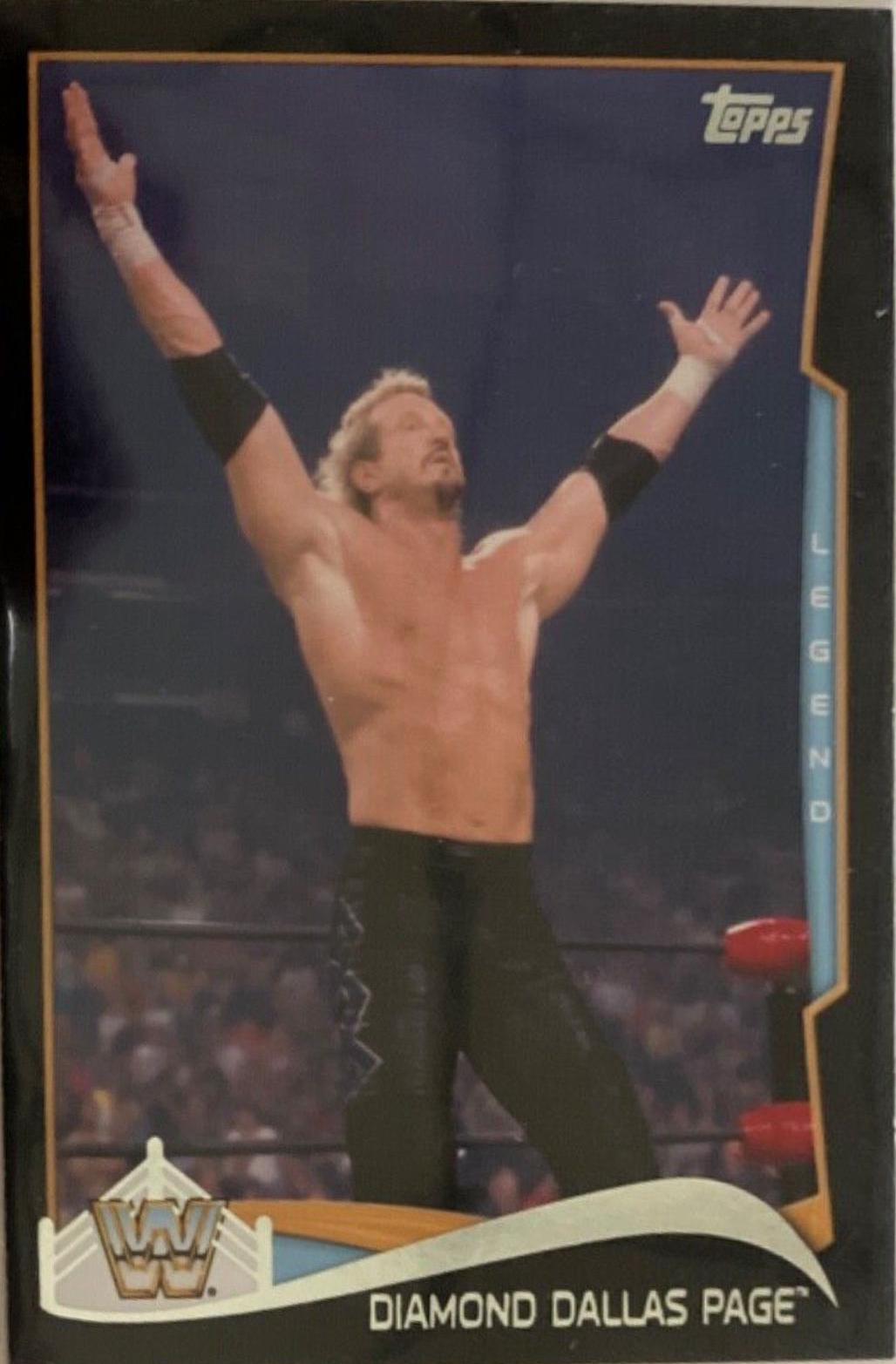 Diamond Dallas Page [Black] #99