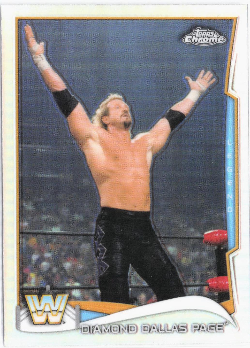 Diamond Dallas Page [Silver] #99