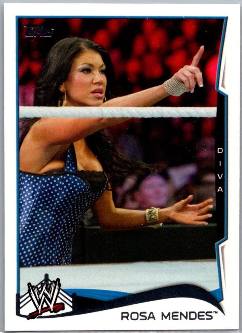 Rosa Mendes #85