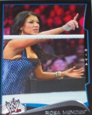Rosa Mendes [Black] #85