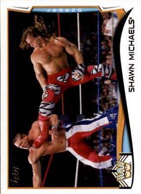 Shawn Michaels #109