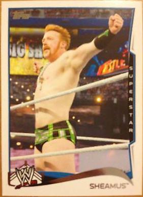 Sheamus #86
