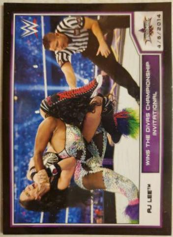 AJ Lee #108