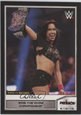 AJ Lee #15