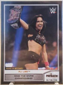 AJ Lee [Bronze] #15