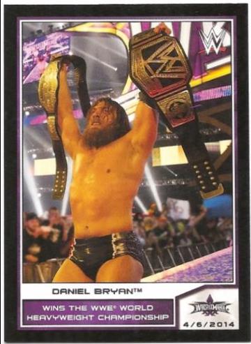 Daniel Bryan #110