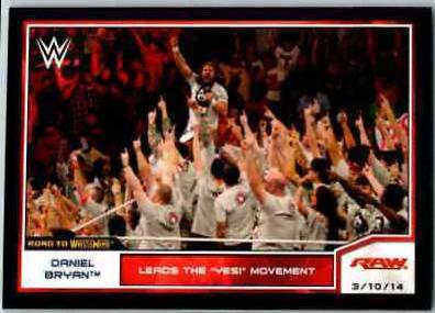 Daniel Bryan #87