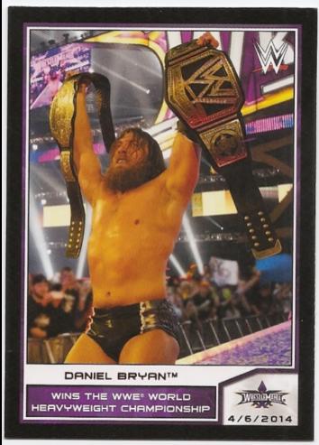 Daniel Bryan [Bronze] #110