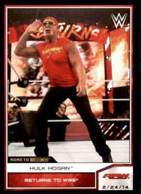 Hulk Hogan #81