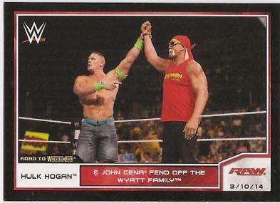 Hulk Hogan #86