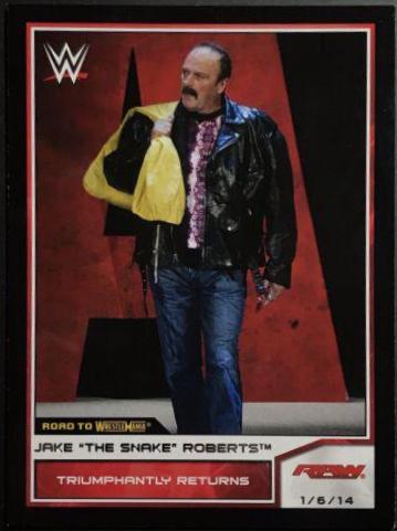 Jake The Snake Roberts #68