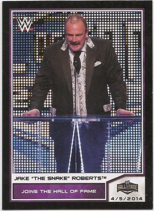 Jake The Snake Roberts #95