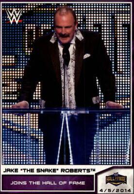 Jake The Snake Roberts [Black] #95
