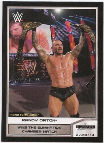 Randy Orton #80