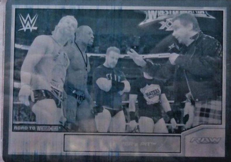 Rowdy Roddy Piper #94