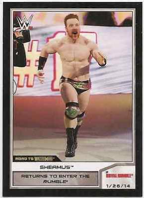 Sheamus #74