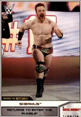 Sheamus [Bronze] #74