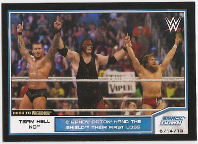 Team Hell No #13