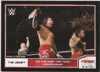 The Usos [Bronze] #84