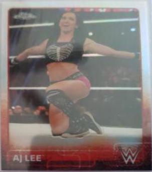 AJ Lee #2