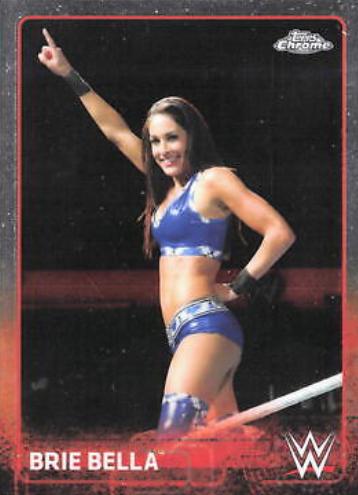 Brie Bella #11