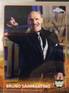 Bruno Sammartino #80