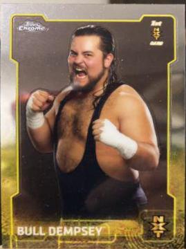 Bull Dempsey #94