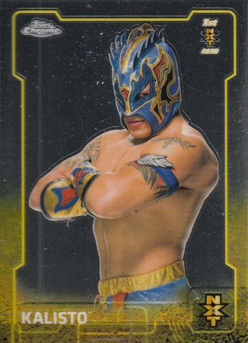 Kalisto #97