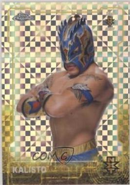 Kalisto [Xfractor] #97