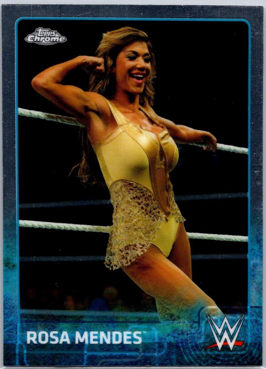 Rosa Mendes #60