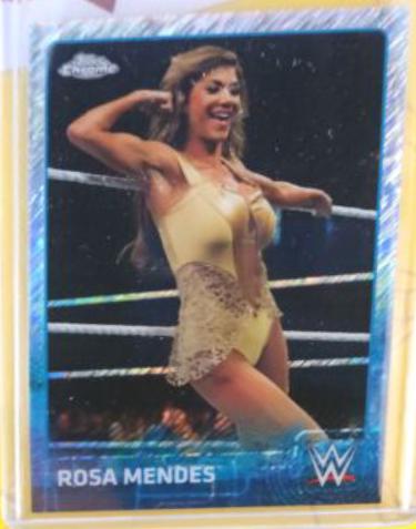 Rosa Mendes [Shimmer] #60