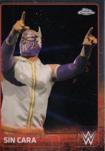 Sin Cara #65