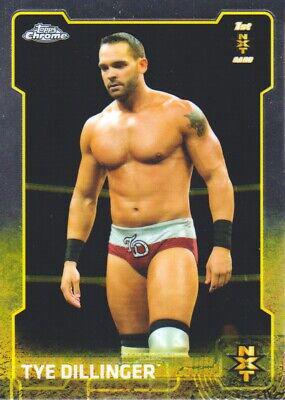 Tye Dillinger #100