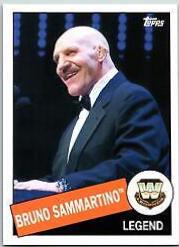 Bruno Sammartino #8