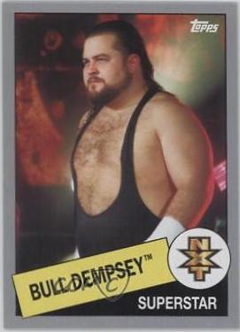 Bull Dempsey [Silver] #103