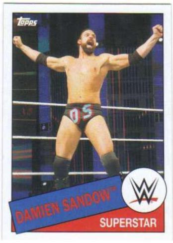 Damien Sandow #69