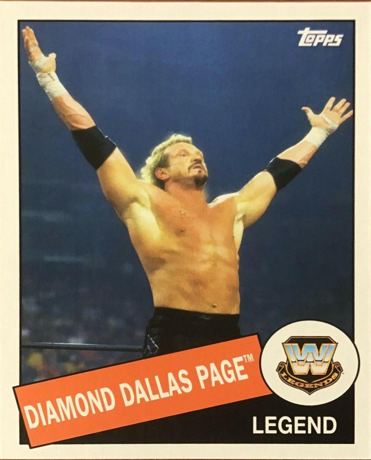 Diamond Dallas Page #12