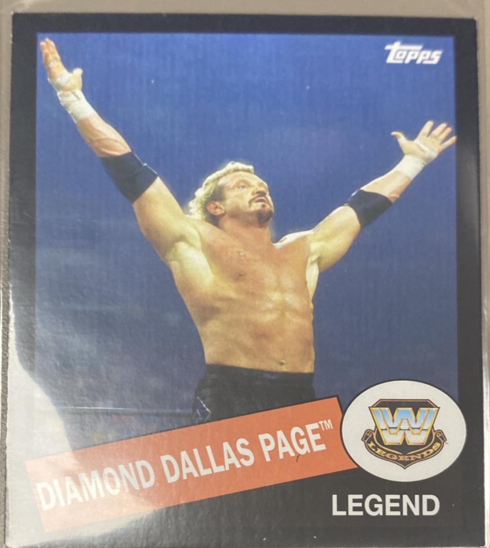 Diamond Dallas Page [Black] #12