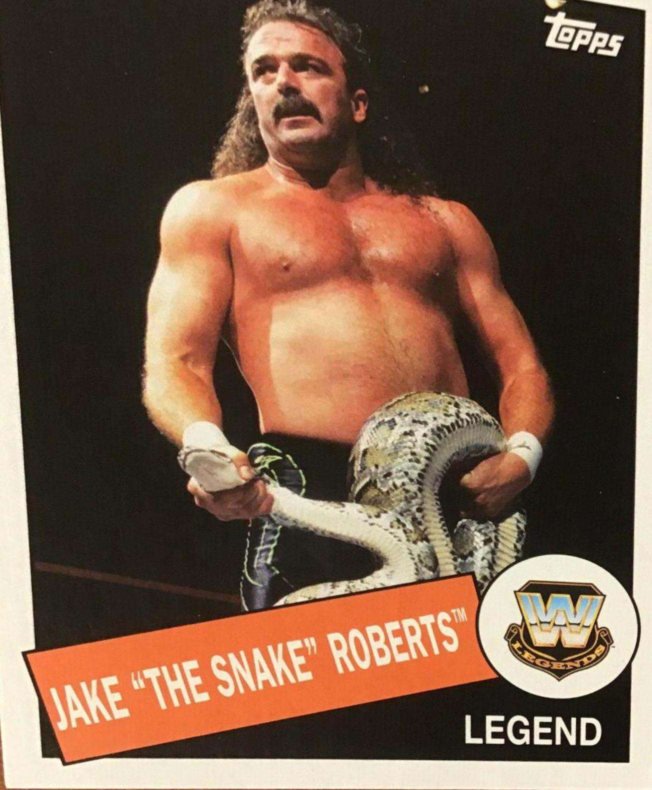 Jake The Snake Roberts #25