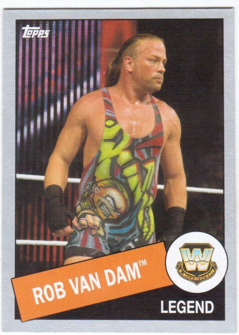 Rob Van Dam [Silver] #24
