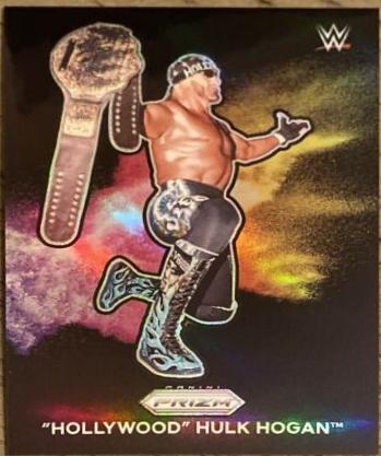 Hollywood Hulk Hogan #3