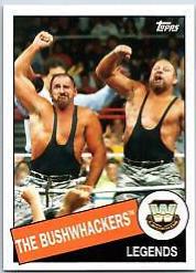 The Bushwhackers #9