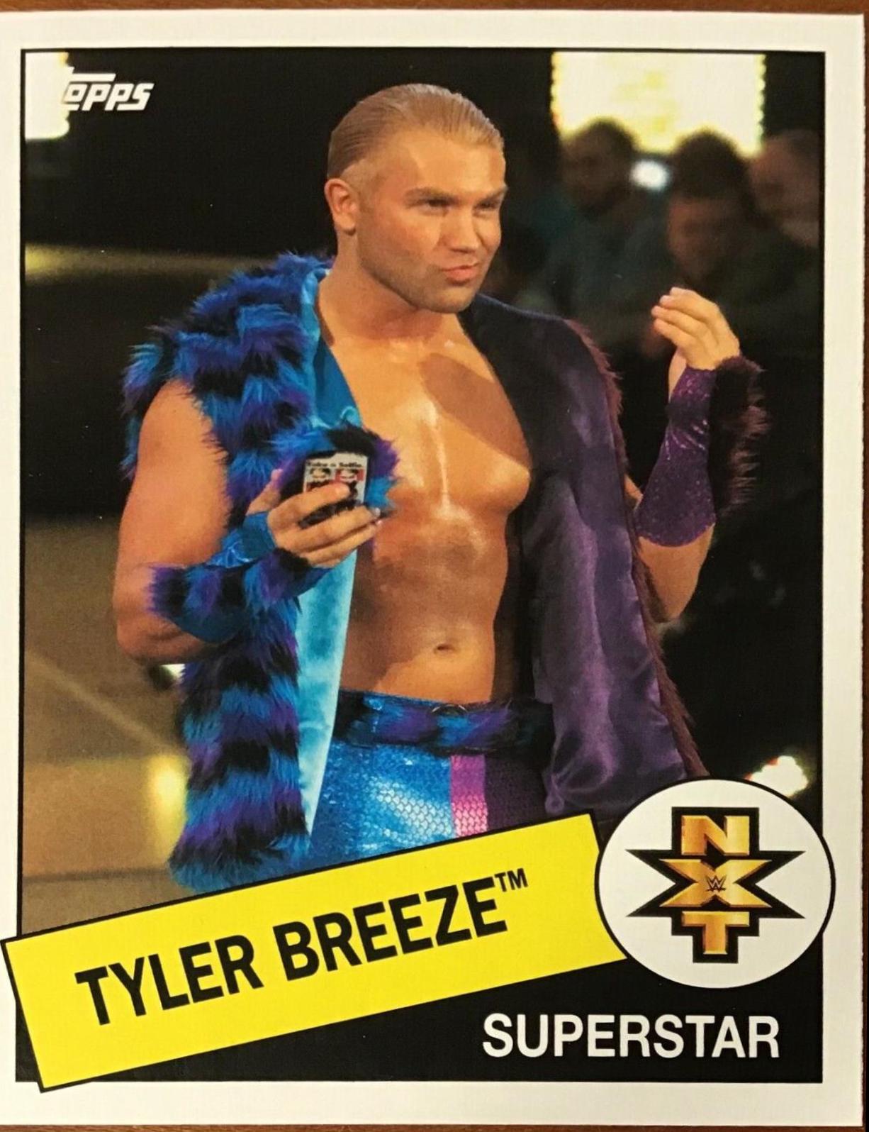 Tyler Breeze #110